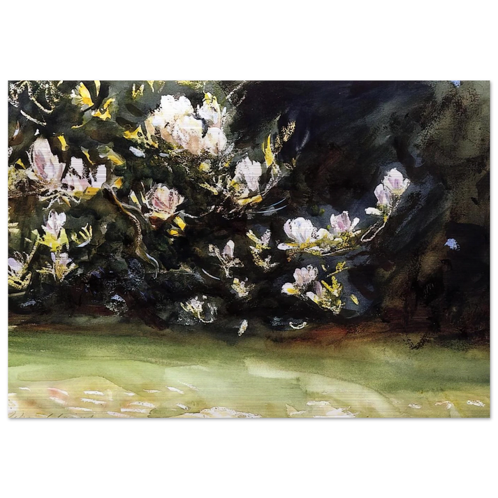 Magnolias - John Singer Sargent Brushed Aluminum Print - 70x100 cm / 28x40 inches | John Singer Sargent Aluminum Print | John Singer Sargent Prints
