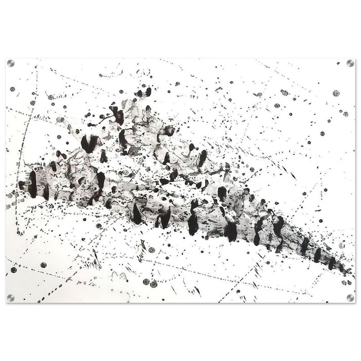 Untitled .213 SF240 - Sam Francis Acrylic Print - 70x100 cm / 28x40″ inches | Sam Francis Wall Art | Sam Francis Prints