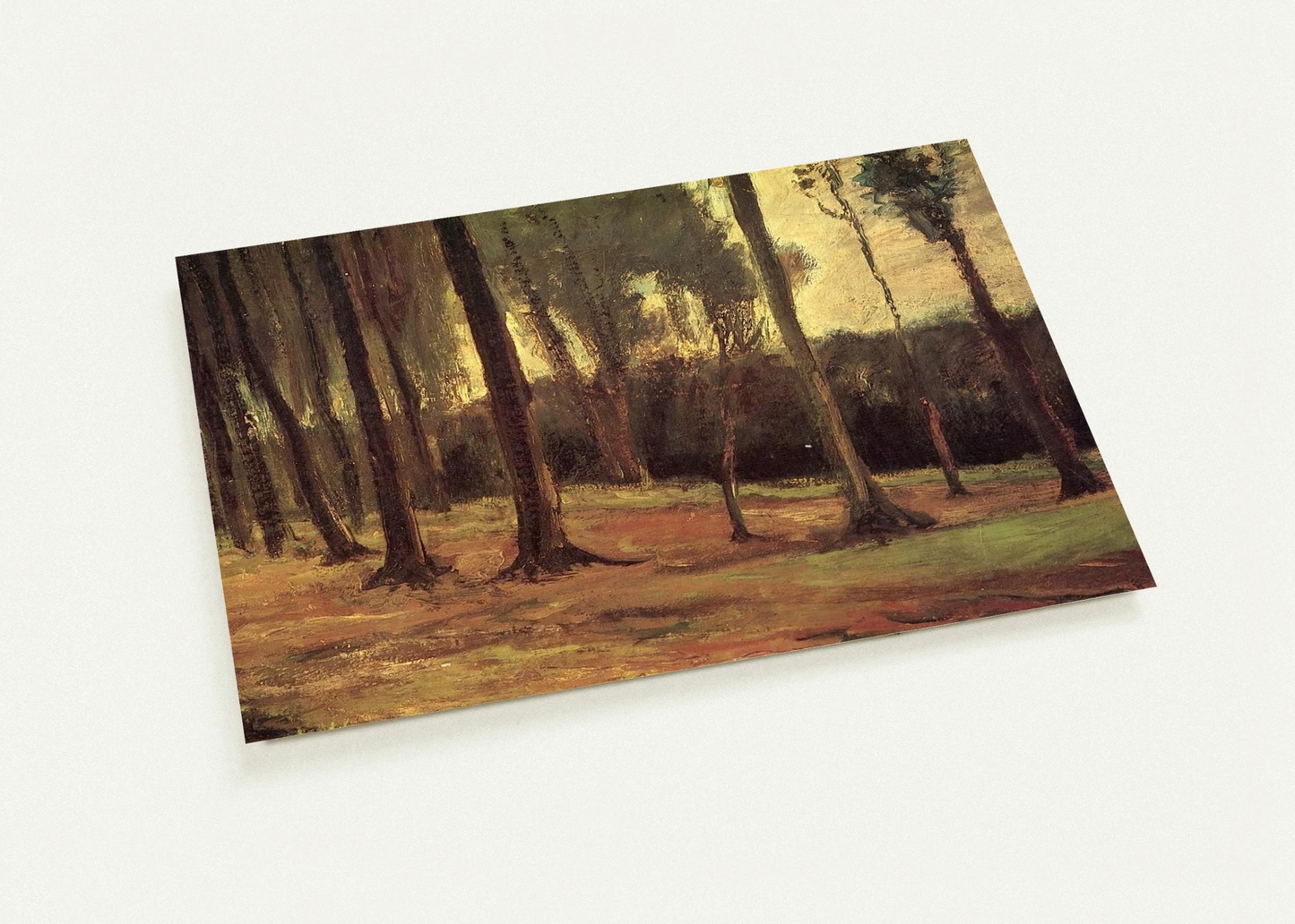 Edge of a Wood By Vincent van Gogh Pack of 10 Post Cards | Vincent van Gogh Post Cards | A6 (10.5 x 14.8 cm) - 4.1 x 5.8 inches
