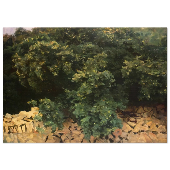 Ilex Wood, Majorca - John Singer Sargent Brushed Aluminum Print - 70x100 cm / 28x40 inches | John Singer Sargent Aluminum Print | John Singer Sargent Prints