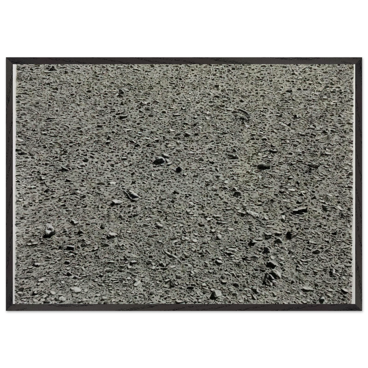 DESERT 1975 - Vija Celmins 70x100 cm / 28x40 inches Framed Art Print – Black Wooden Frame