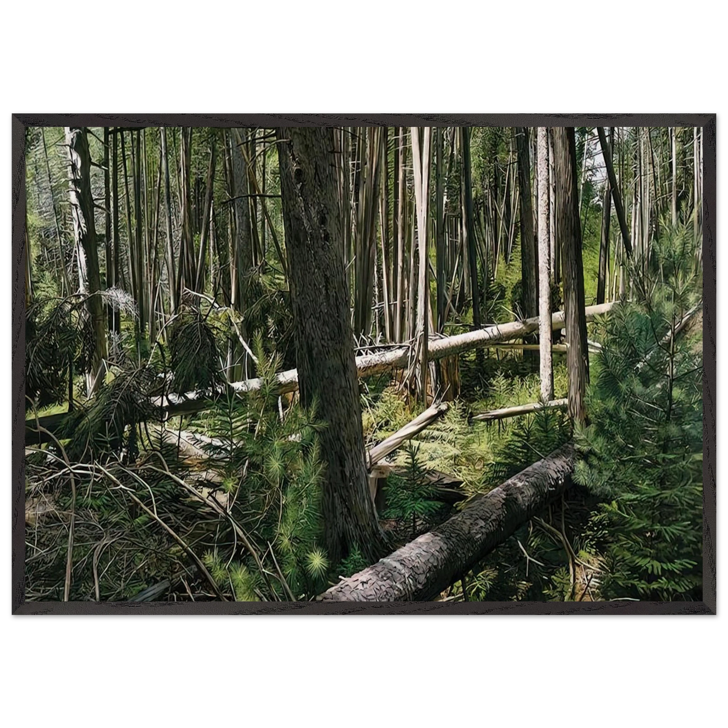 NEAR HUNTERS BEACH ACADIA NATIONAL PARK 2008 - Richard Estes 70x100 cm / 28x40 inches Framed Art Print – Black Wooden Frame