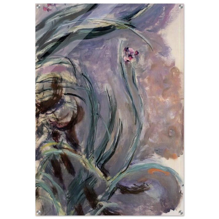 Irises - claude monet Acrylic Print - 70x100 cm / 28x40″ inches