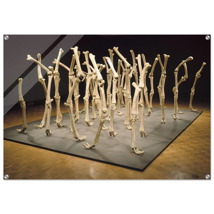 VARIABILITY OF SIMILAR FORMS 1970 - Nancy Graves Acrylic Print - 70x100 cm / 28x40″ inches | Nancy Graves Wall Art | Nancy Graves Prints