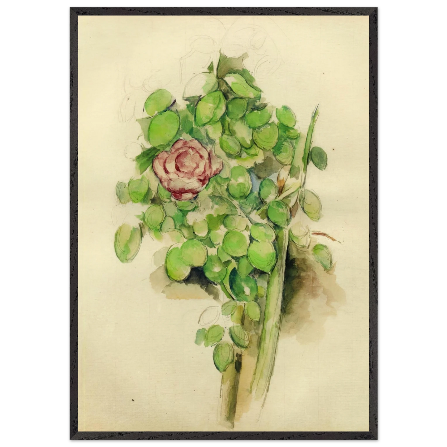Rose Bush - Paul Cezanne 70x100 cm / 28x40 inches Framed Art Print – Black Wooden Frame