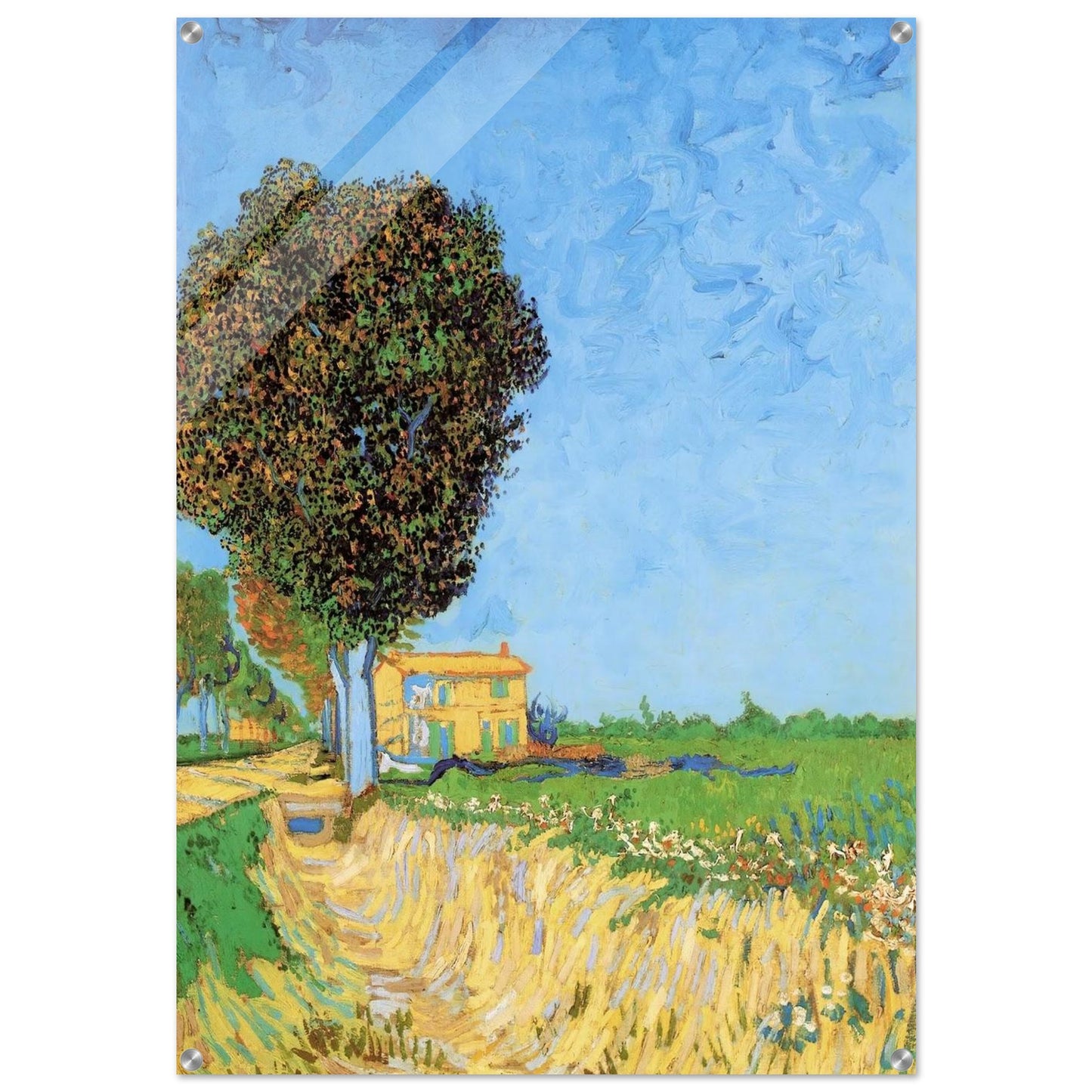 A Lane near Arles - Vincent van Gogh Acrylic Print - 70x100 cm / 28x40″ inches