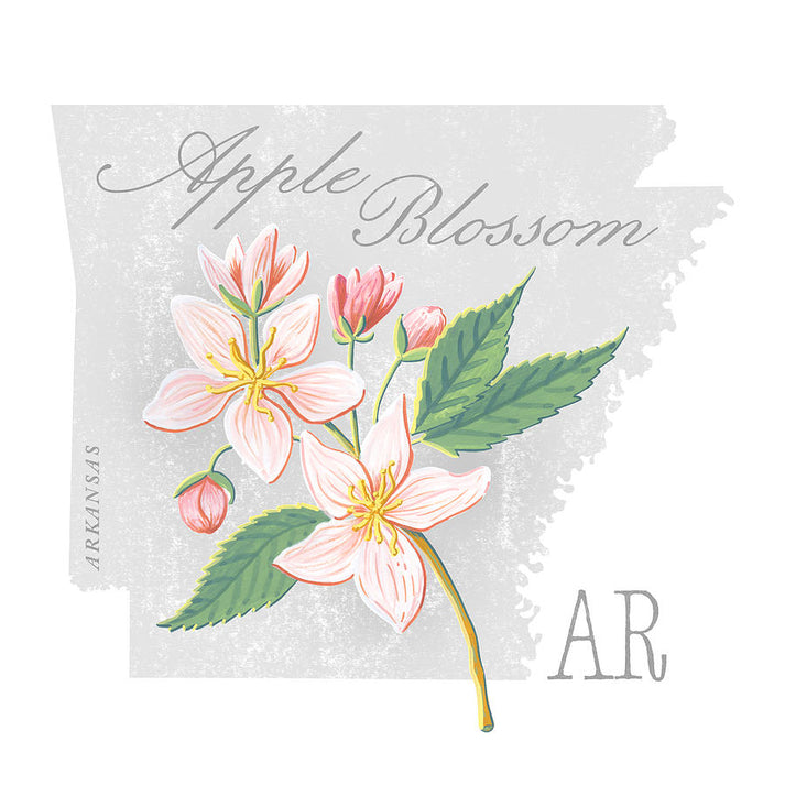 Arkansas State Flower Apple Blossom Art Print | RedKalion