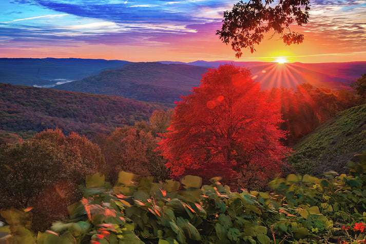 Autumn Sunrise Fine Art Print | Colorful Sunrise at Artist Point | RedKalion