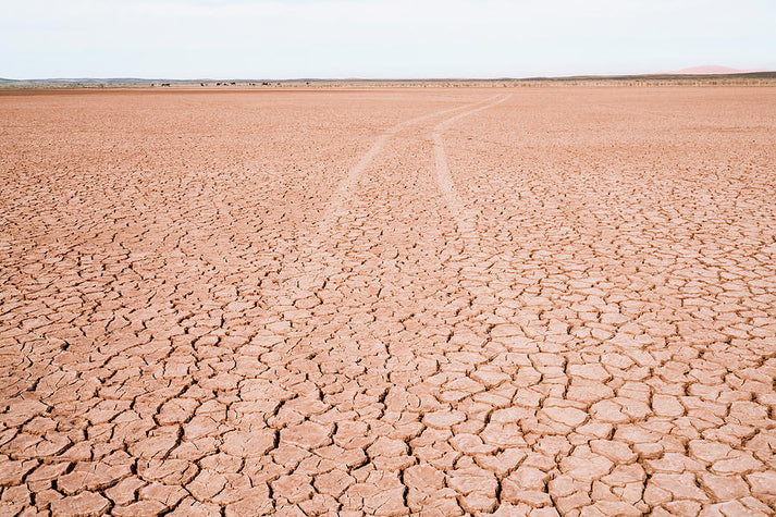 Barren Landscape Art Print | Premium Fine Art Print | RedKalion
