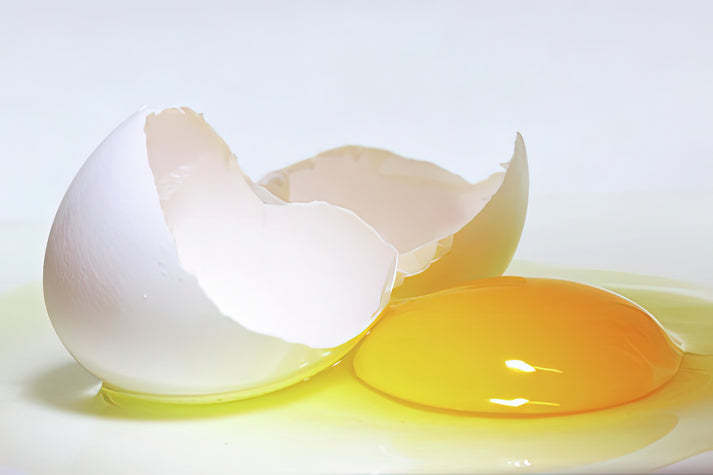 Broken Egg Art Print | Fine Art Print | RedKalion