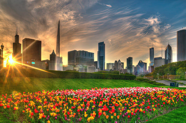 Chicago Spring Art Print | Museum-Quality Fine Art Print | RedKalion
