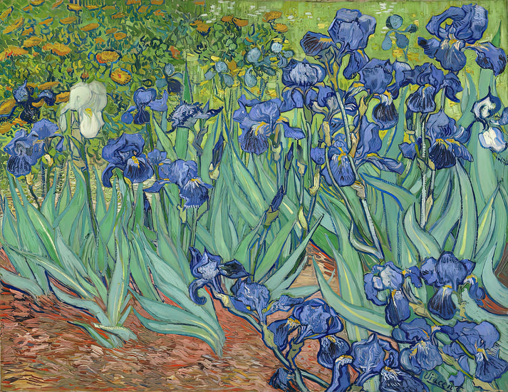 Irises by Vincent van Gogh Art Print | RedKalion