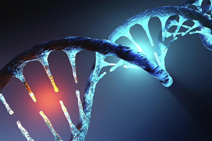 Picture of DNA Strand Art Print | Museum-Quality Fine Art Print | RedKalion