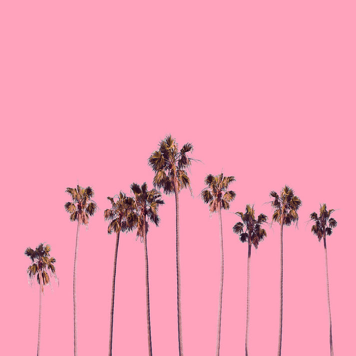 Pink Palm Trees Art Print | Museum-Quality Fine Art Print | RedKalion