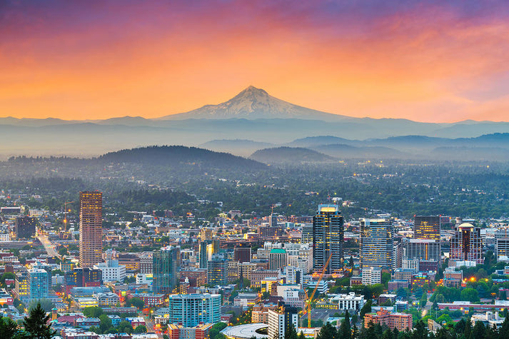 Portland Oregon Skyline Art Print | Premium Fine Art Print | RedKalion