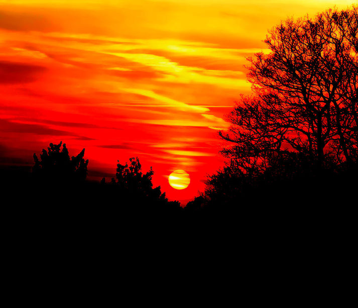 Red in the Sunset Art Print | RedKalion