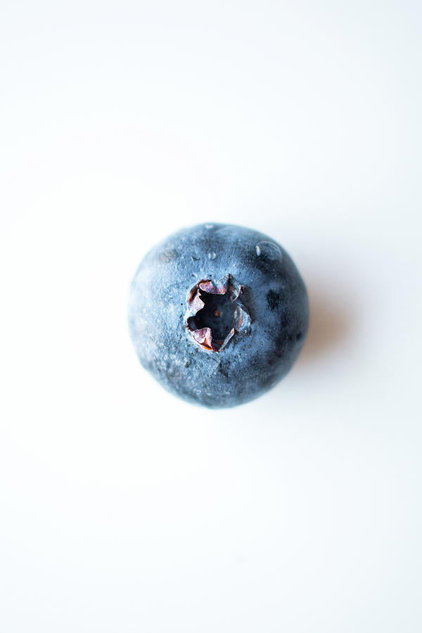 Single Blueberry Fine Art Print | Minimalist Still Life Photography | RedKalion