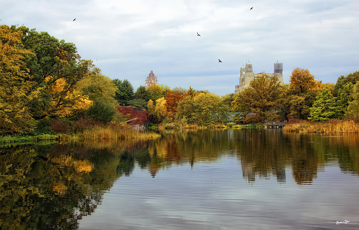 Turtle Pond Central Park Art Print | Premium Fine Art Print | RedKalion