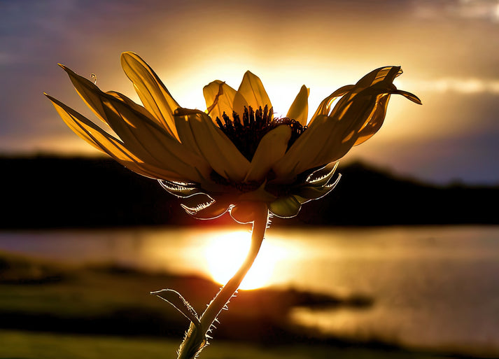 Uplifting Images Art Print | Museum-Quality Fine Art Print | RedKalion