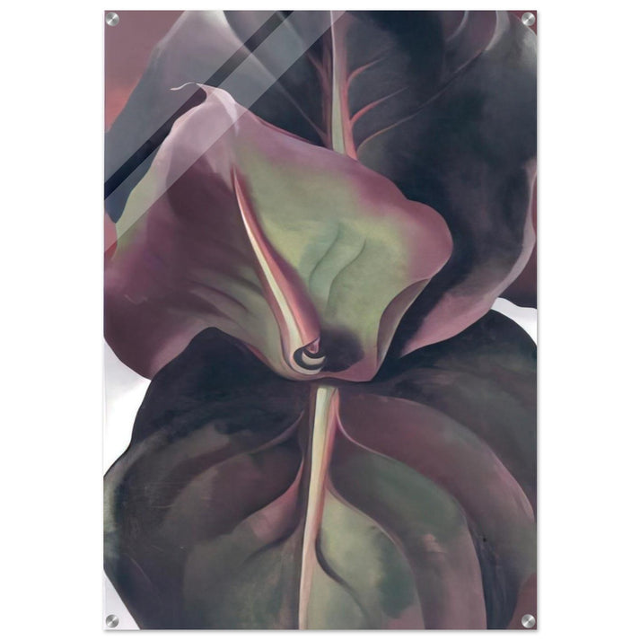 Canna Leaves - Georgia O'Keeffe Acrylic Print - 70x100 cm / 28x40″ inches