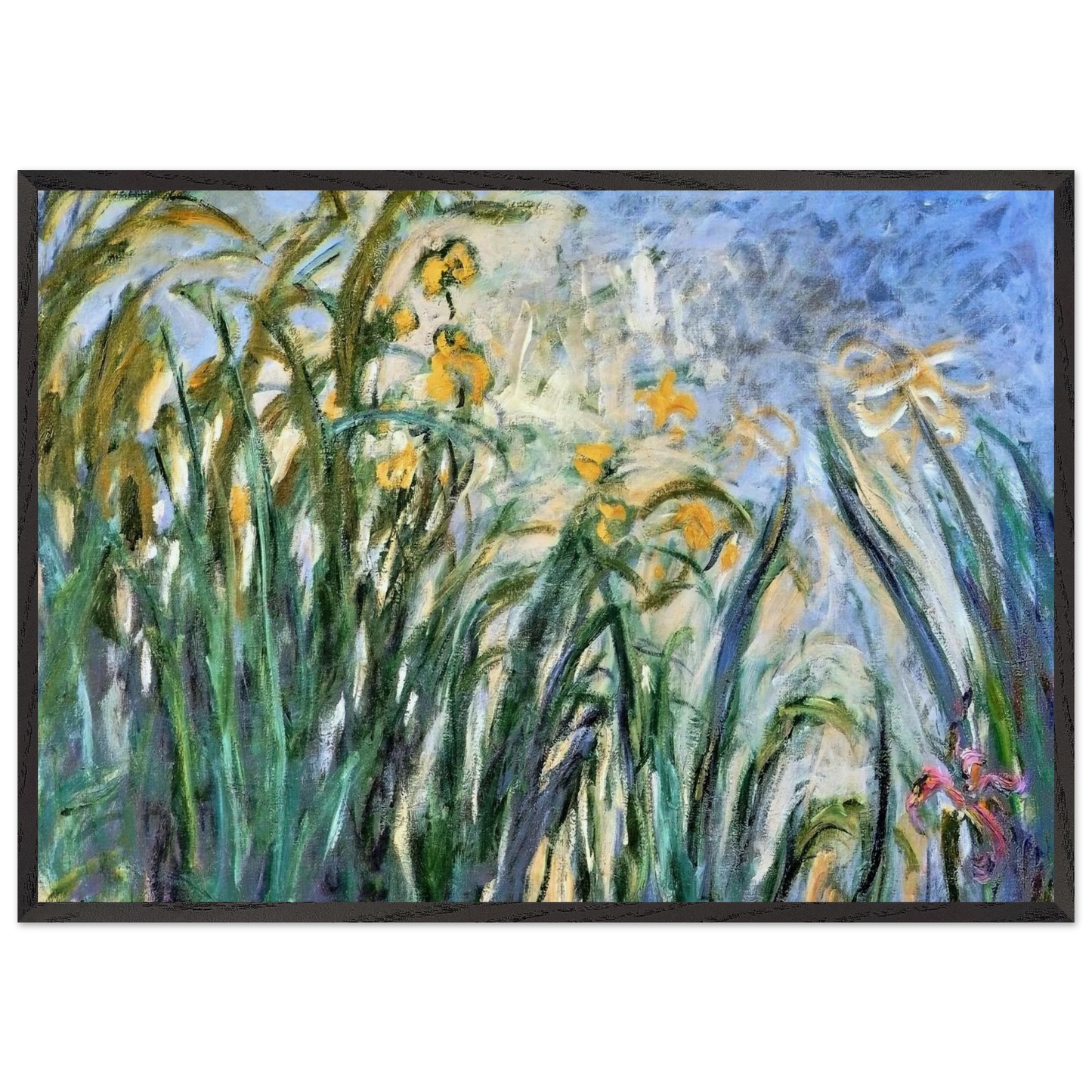Yellow Irises and Malva - claude monet 70x100 cm / 28x40 inches Framed Art Print – Black Wooden Frame