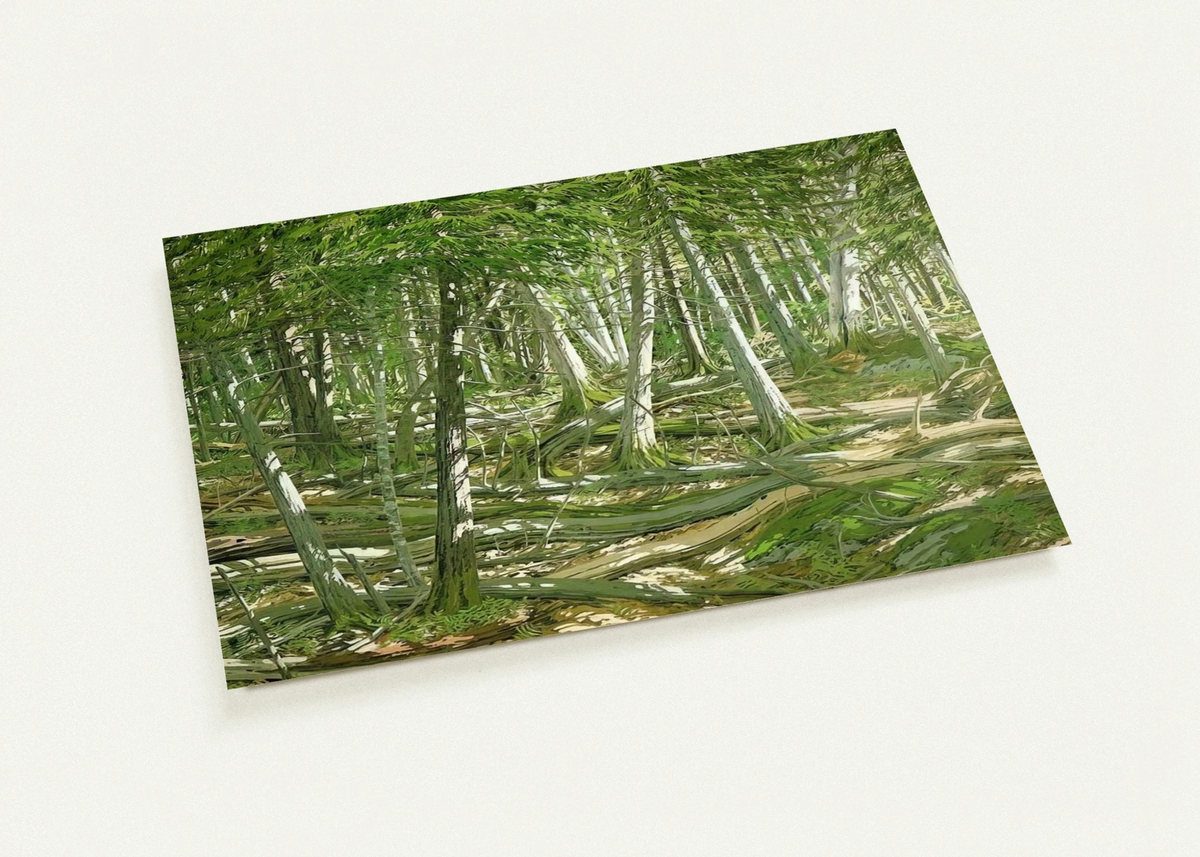 Old Windfall - 1982 By Neil Welliver Pack of 10 Post Cards | Neil Welliver Post Cards | A6 (10.5 x 14.8 cm) - 4.1 x 5.8 inches
