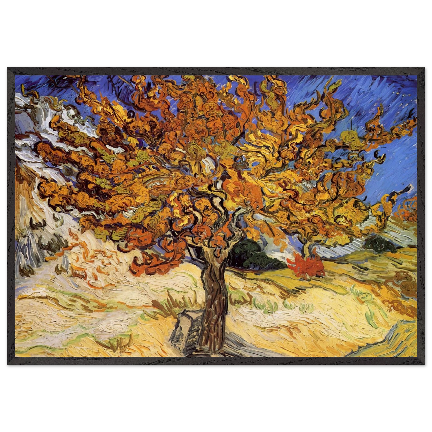 Mulberry Tree - Vincent van Gogh 70x100 cm / 28x40 inches Framed Art Print – Black Wooden Frame