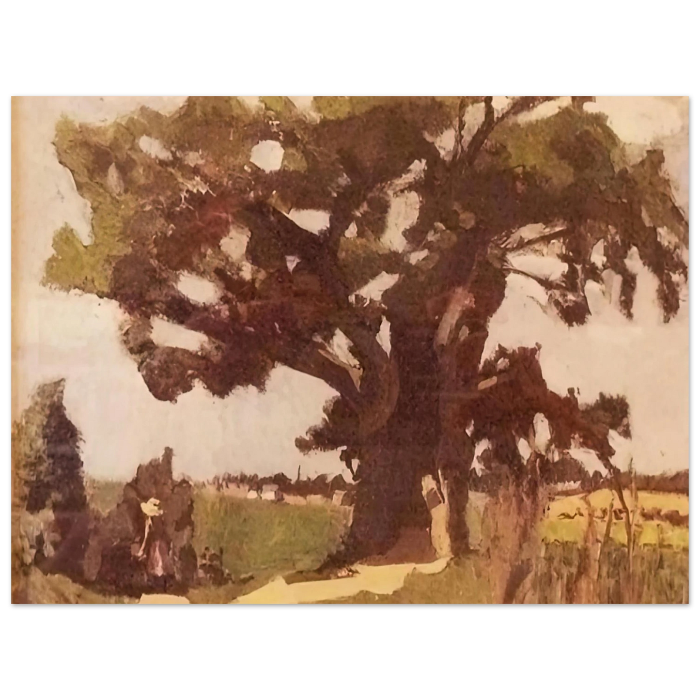 Henri Matisse - BLASTED OAK BOHAIN 1903 75x100 cm / 30x40inches Fine Art Poster