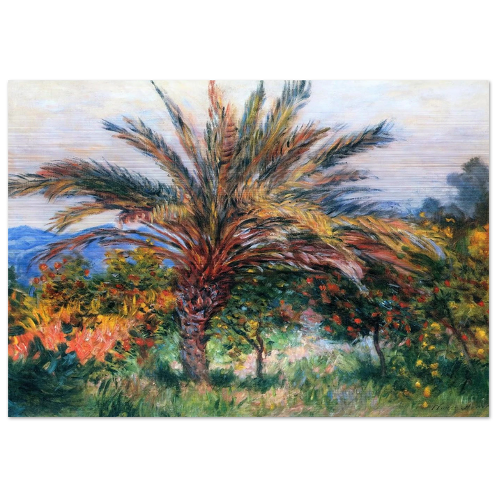 Palm Tree at Bordighera - claude monet Brushed Aluminum Print - 70x100 cm / 28x40 inches | claude monet Aluminum Print | claude monet Prints