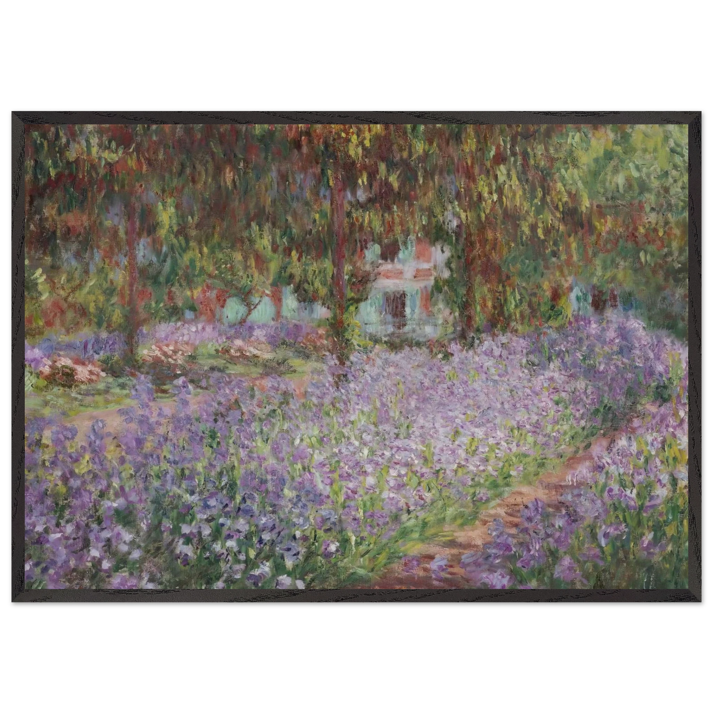 Irises in Monets Garden - claude monet 70x100 cm / 28x40 inches Framed Art Print – Black Wooden Frame