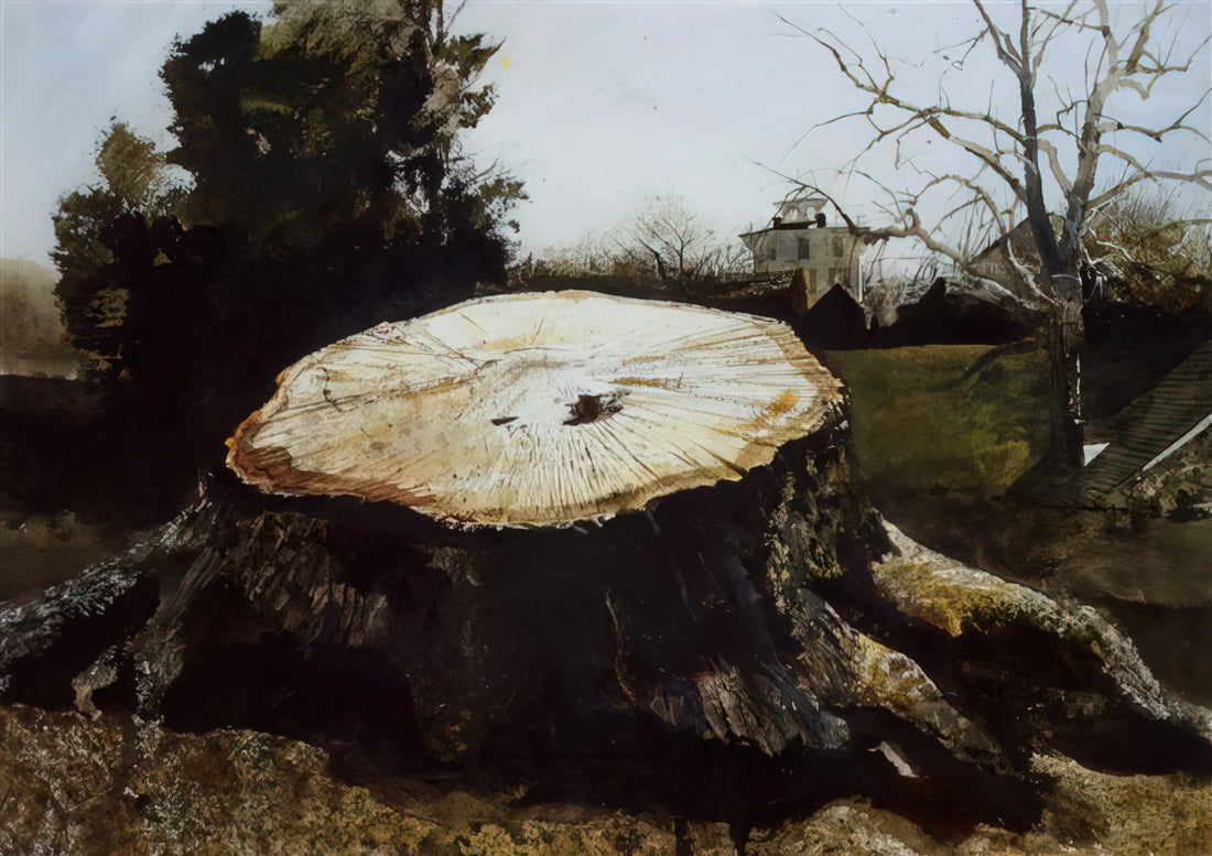 All Andrew Wyeth Paintings: A Comprehensive Guide to the American Master's Oeuvre - THE BIG OAK by Andrew Wyeth