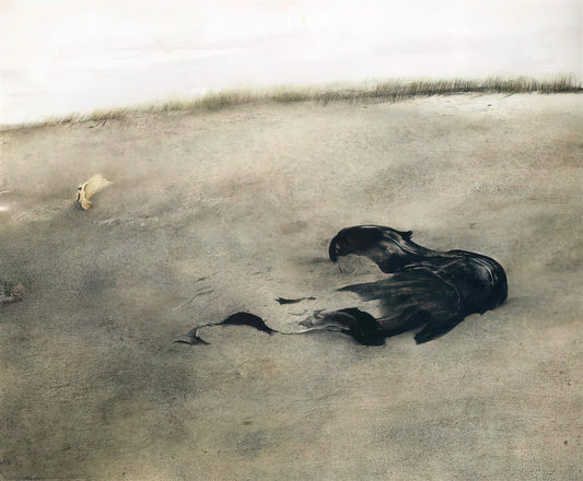 Andrew Wyeth Canvas: The Enduring Power of Tempera and Realism - NOT DETECTED 37 by Andrew Wyeth
