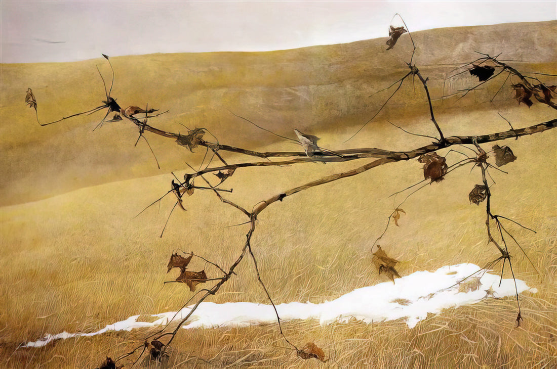 Andrew Wyeth Early Watercolors: The Formative Years of an American Master - LONG LIMB by Andrew Wyeth