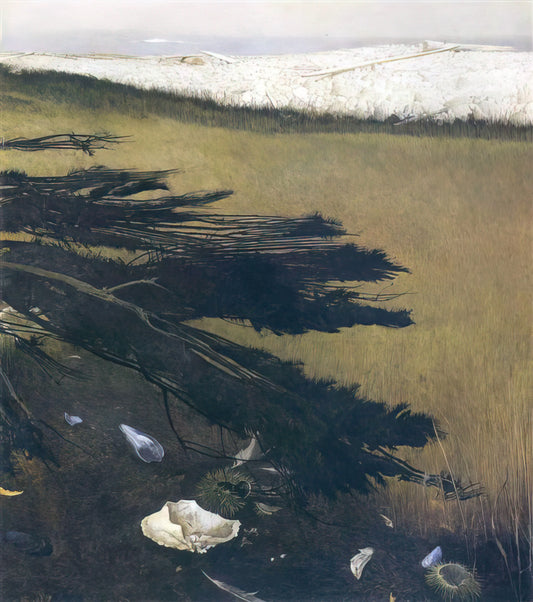 Andrew Wyeth Pictures: A Deep Dive into the Artist's Iconic Realism - NOT DETECTED 47 by Andrew Wyeth