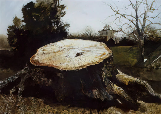 Andrew Wyeth and Paul Allen: The Unlikely Alliance That Transformed American Art Collecting - THE BIG OAK by Andrew Wyeth