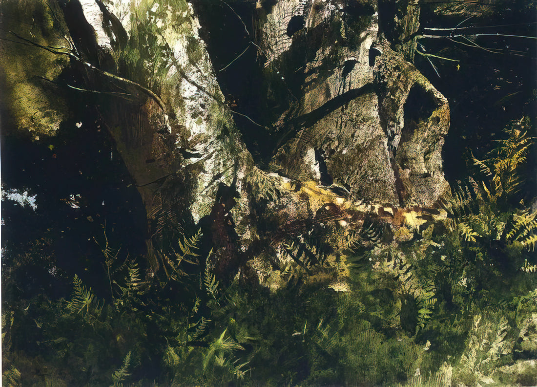 Andrew Wyeth: Memory and Magic in American Realism - VIRGIN BIRCH 1982 by Andrew Wyeth