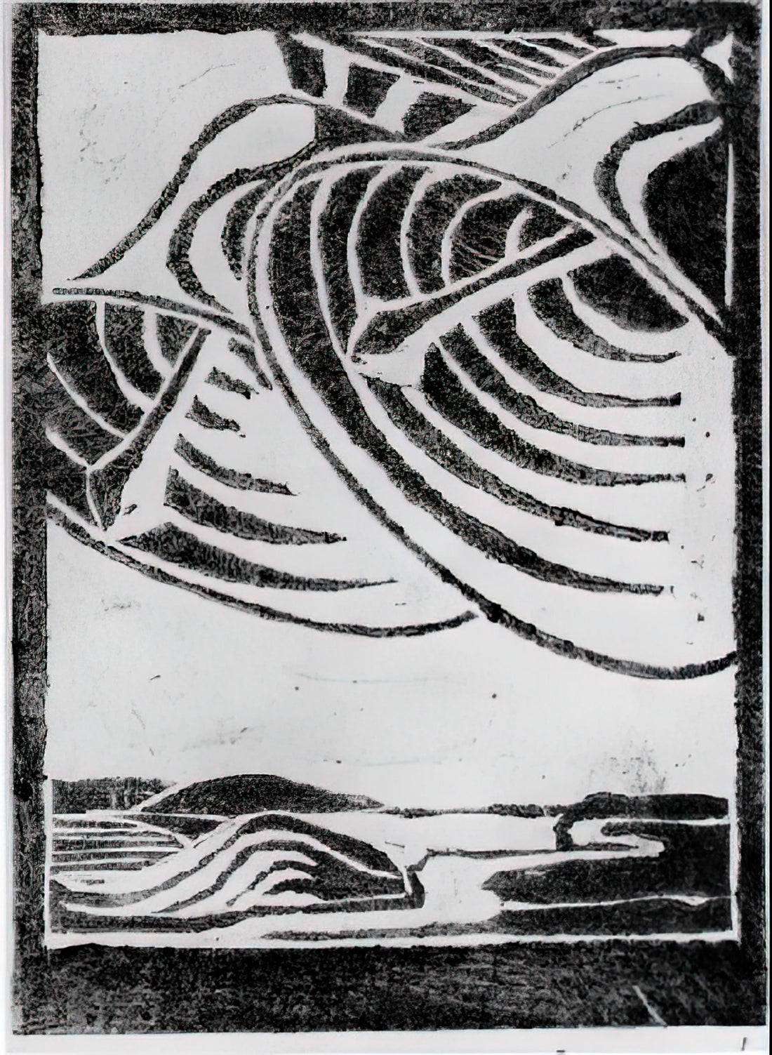 Artist Optical Illusions Escher: The Mind-Bending World of Maurits Cornelis Escher - ESCHER (3) by MC Escher