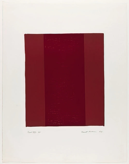 Barnett Newman Selected Writings and Interviews: The Philosophical Voice of Abstract Expressionism - Canto XVIII by Barnett Newman