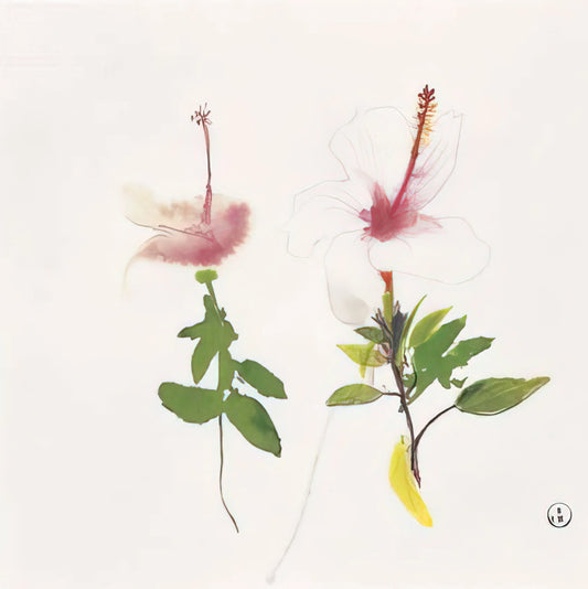 Brett Whiteley Limited Edition Prints: A Collector's Guide to the Australian Master's Legacy - Hibiscus - 1987 by Brett Whiteley