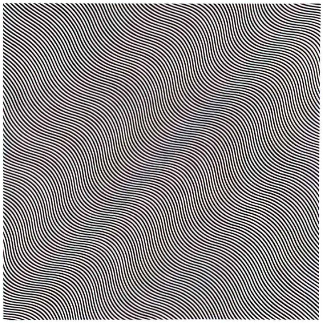 Bridget Riley Prints and Posters: The Definitive Guide to Op Art Masterpieces - UNTITLED DIAGONAL CURVE 1966 by Bridget Riley
