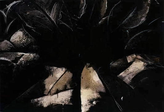 Unpacking DeFeo's The Rose: A Monumental Vision of Postwar American Art - Jay DeFeo/BIG/Cabbage Rose by Jay DeFeo