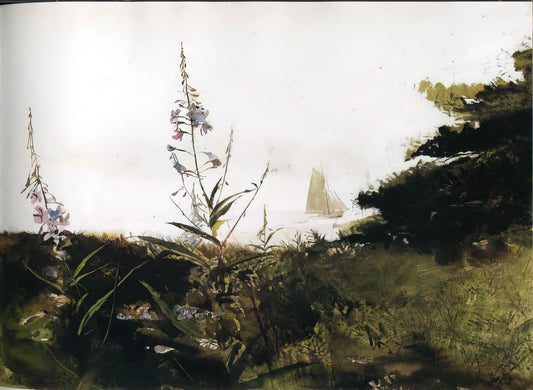 Christina's World 1948 by Andrew Wyeth: An Icon of American Realism - UNDER SAIL by Andrew Wyeth