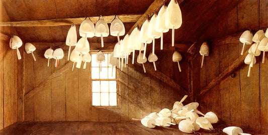 Christina's World Framed: A Curator's Guide to Andrew Wyeth's Masterpiece - TOMORROW THE OUTER SHOALS by Andrew Wyeth