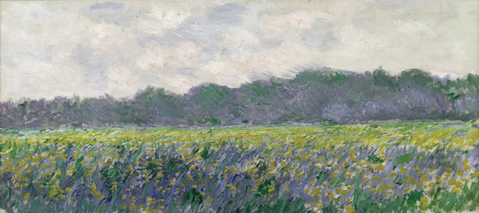 Claude Monet Prints: A Curator's Guide to Collecting the Impressionist Master's Work - Field of Yellow Irises at Giverny by claude monet