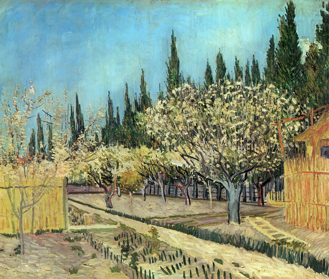 Converse Van Gogh: The Artist's Iconic Footwear in Art and Culture - Orchard in Blossom, Bordered by Cypresses by Vincent van Gogh