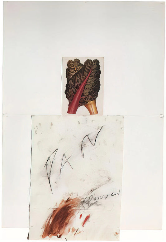 Cy Twombly: Beyond the Canvas – Understanding the Artist's Legacy and Where to Find Authentic Prints - Pan by Cy Twombly