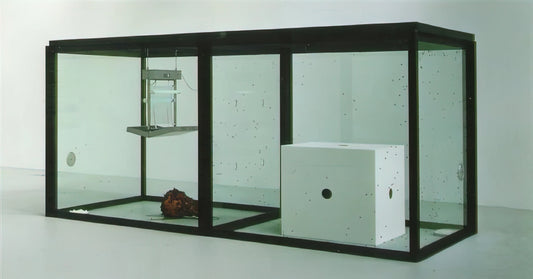 Damien Hirst Butterflies: Beauty, Mortality, and the Art of the Sublime - A THOUSAND YEARS by Damien Hirst