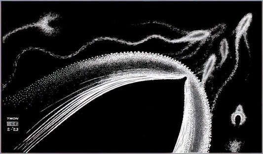 Exploring the Intersections of Art and Strategy: M.C. Escher, Logic, and the Concept of Escher Chess - DOLPHINS by MC Escher