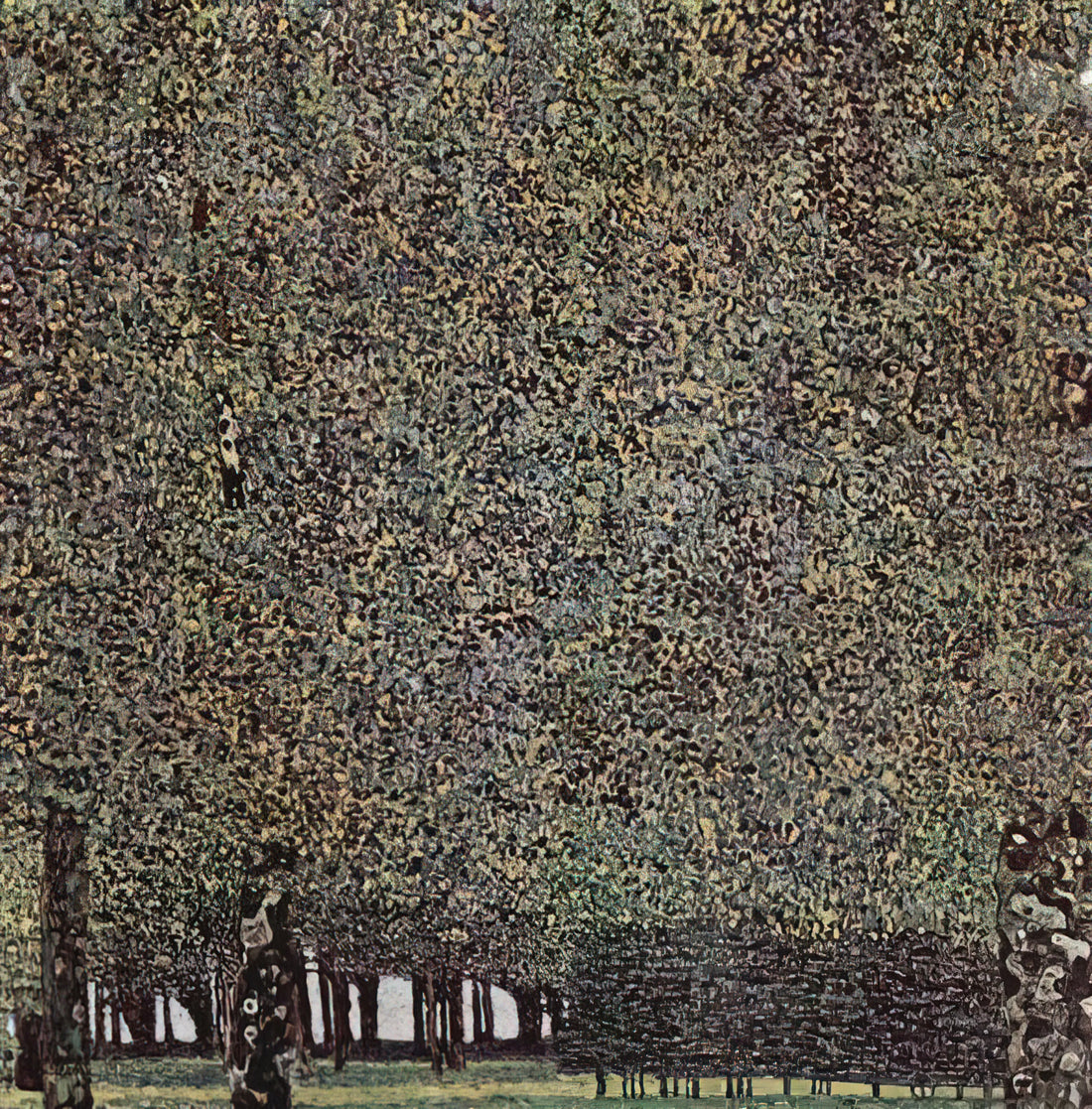 Gustav Schenk: The Overlooked Master of Botanical Illustration and Naturalist Art - PARK 1910 by Gustav Klimt
