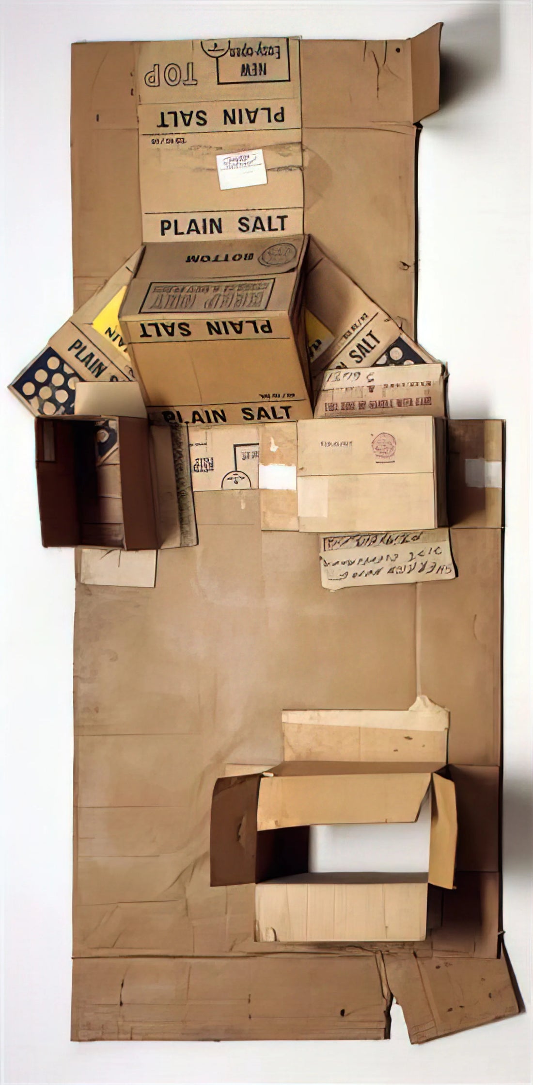 Homage to Rauschenberg: Understanding the Legacy of an American Art Revolutionary - PLAIN SALT CARDBOARD 1971 by Robert Rauschenberg
